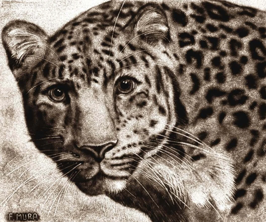 Sand portrait of a cheetah